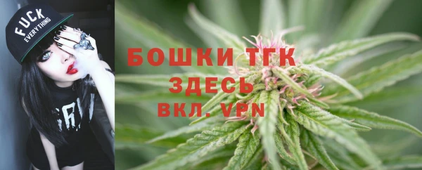 прущие грибы Протвино