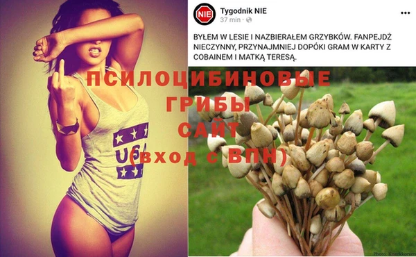 мдма Приозерск
