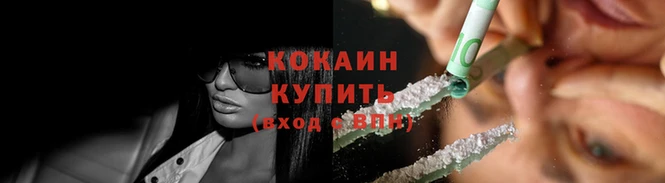 прущие грибы Протвино