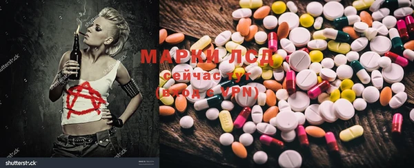 прущие грибы Протвино