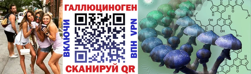 Псилоцибиновые грибы прущие грибы  магазин продажи наркотиков  Ясногорск 